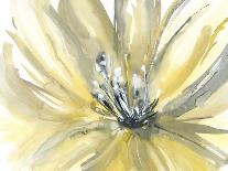 A Sunny Bloom-Rebecca Meyers-Giclee Print