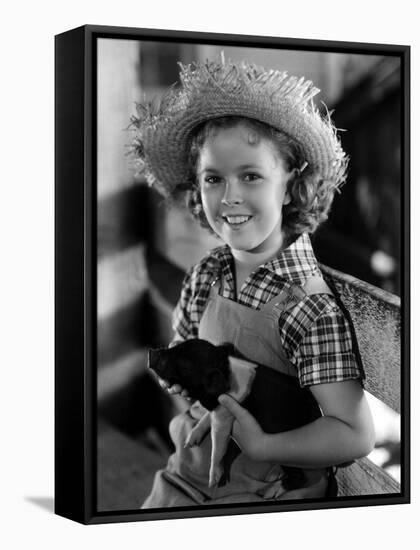 Rebecca Of Sunnybrook Farm, Shirley Temple, 1938-null-Framed Stretched Canvas