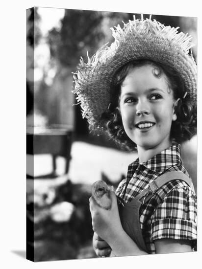 Rebecca of Sunnybrook Farm, Shirley Temple, 1938-null-Stretched Canvas