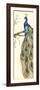 Rebecca's Peacock II-Jennifer Goldberger-Framed Premium Giclee Print