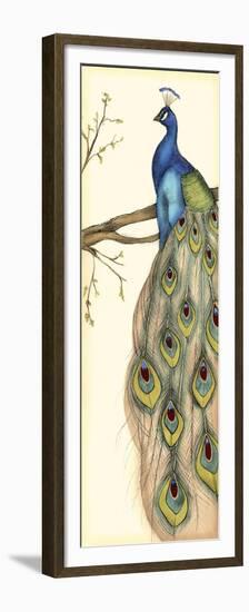 Rebecca's Peacock II-Jennifer Goldberger-Framed Premium Giclee Print