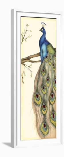 Rebecca's Peacock II-Jennifer Goldberger-Framed Premium Giclee Print