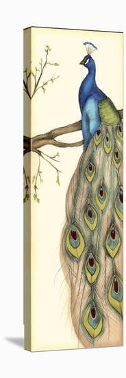 Rebecca's Peacock II-Jennifer Goldberger-Stretched Canvas