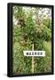 Essential Black