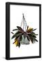 Essential Black