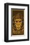 Rebel Planet of the Apes-null-Framed Art Print