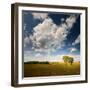 Rebel Sun-Philippe Sainte-Laudy-Framed Premium Photographic Print