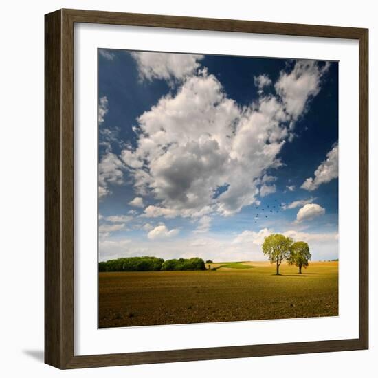 Rebel Sun-Philippe Sainte-Laudy-Framed Photographic Print