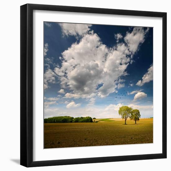 Rebel Sun-Philippe Sainte-Laudy-Framed Photographic Print