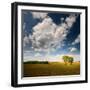 Rebel Sun-Philippe Sainte-Laudy-Framed Photographic Print