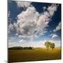 Rebel Sun-Philippe Sainte-Laudy-Mounted Photographic Print