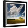 Rebel Sun-Philippe Sainte-Laudy-Framed Photographic Print