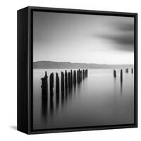 Rebelion 4-Moises Levy-Framed Stretched Canvas