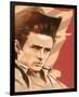 Rebell James Dean-Joadoor-Framed Premium Giclee Print