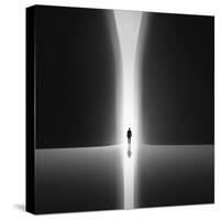 Rebirth-Nadav Jonas-Stretched Canvas