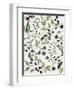 Rebloom-Aimee Wilson-Framed Premium Giclee Print