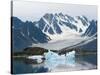 Receding Glacier, Liefderfjorden Fiord, Svalbard, Norway-Alice Garland-Stretched Canvas