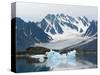 Receding Glacier, Liefderfjorden Fiord, Svalbard, Norway-Alice Garland-Stretched Canvas