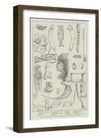 Recent Antiquarian Discoveries in Egypt-Norman Hardy-Framed Giclee Print