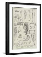 Recent Antiquarian Discoveries in Egypt-Norman Hardy-Framed Premium Giclee Print