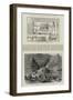 Recent Discovery of Royal Mummies and Other Egyptian Antiquities-null-Framed Giclee Print
