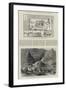 Recent Discovery of Royal Mummies and Other Egyptian Antiquities-null-Framed Giclee Print