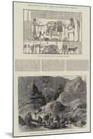 Recent Discovery of Royal Mummies and Other Egyptian Antiquities-null-Mounted Giclee Print