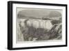 Recently-Discovered Remains of the Alexandrian Library-null-Framed Giclee Print