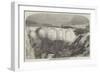 Recently-Discovered Remains of the Alexandrian Library-null-Framed Giclee Print