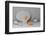 Recipe NAd3-Christophe Verot-Framed Photographic Print