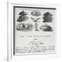 Recipes For Invalid Cookery-Isabella Beeton-Framed Giclee Print