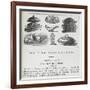 Recipes For Invalid Cookery-Isabella Beeton-Framed Giclee Print