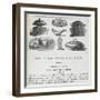 Recipes For Invalid Cookery-Isabella Beeton-Framed Giclee Print