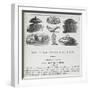 Recipes For Invalid Cookery-Isabella Beeton-Framed Giclee Print