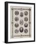 Recipients of Coronation Honours-null-Framed Giclee Print