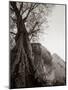 Reclining Buddha, 1980-null-Mounted Photographic Print