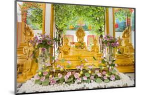 Reclining Buddha and Other Statues-Andrew Stewart-Mounted Photographic Print