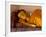 Reclining Buddha, Chiang Mai, Thailand-Kristin Piljay-Framed Photographic Print