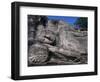 Reclining Buddha, Gal Vihara, Polonnaruwa, Unesco World Heritage Site, Sri Lanka-David Poole-Framed Photographic Print