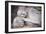 Reclining Buddha in Nirvana at Gal Vihara Rock Temple-Matthew Williams-Ellis-Framed Photographic Print