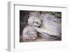 Reclining Buddha in Nirvana at Gal Vihara Rock Temple-Matthew Williams-Ellis-Framed Photographic Print