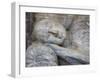 Reclining Buddha Statue, Gal Vihara, Polonnaruwa, UNESCO World Heritage Site, Sri Lanka-Ian Trower-Framed Photographic Print