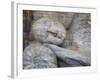 Reclining Buddha Statue, Gal Vihara, Polonnaruwa, UNESCO World Heritage Site, Sri Lanka-Ian Trower-Framed Photographic Print