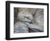 Reclining Buddha Statue, Gal Vihara, Polonnaruwa, UNESCO World Heritage Site, Sri Lanka-Ian Trower-Framed Photographic Print