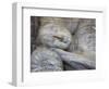 Reclining Buddha Statue, Gal Vihara, Polonnaruwa, UNESCO World Heritage Site, Sri Lanka-Ian Trower-Framed Photographic Print