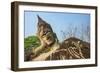 Reclining Buddha statue, Xieng Khuan, Buddha Park containing over 200 Hindu and Buddhist statues-Tom Haseltine-Framed Photographic Print