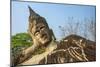 Reclining Buddha statue, Xieng Khuan, Buddha Park containing over 200 Hindu and Buddhist statues-Tom Haseltine-Mounted Photographic Print