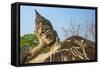 Reclining Buddha statue, Xieng Khuan, Buddha Park containing over 200 Hindu and Buddhist statues-Tom Haseltine-Framed Stretched Canvas