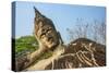 Reclining Buddha statue, Xieng Khuan, Buddha Park containing over 200 Hindu and Buddhist statues-Tom Haseltine-Stretched Canvas