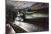 Reclining Buddha-Charlie-Mounted Photographic Print